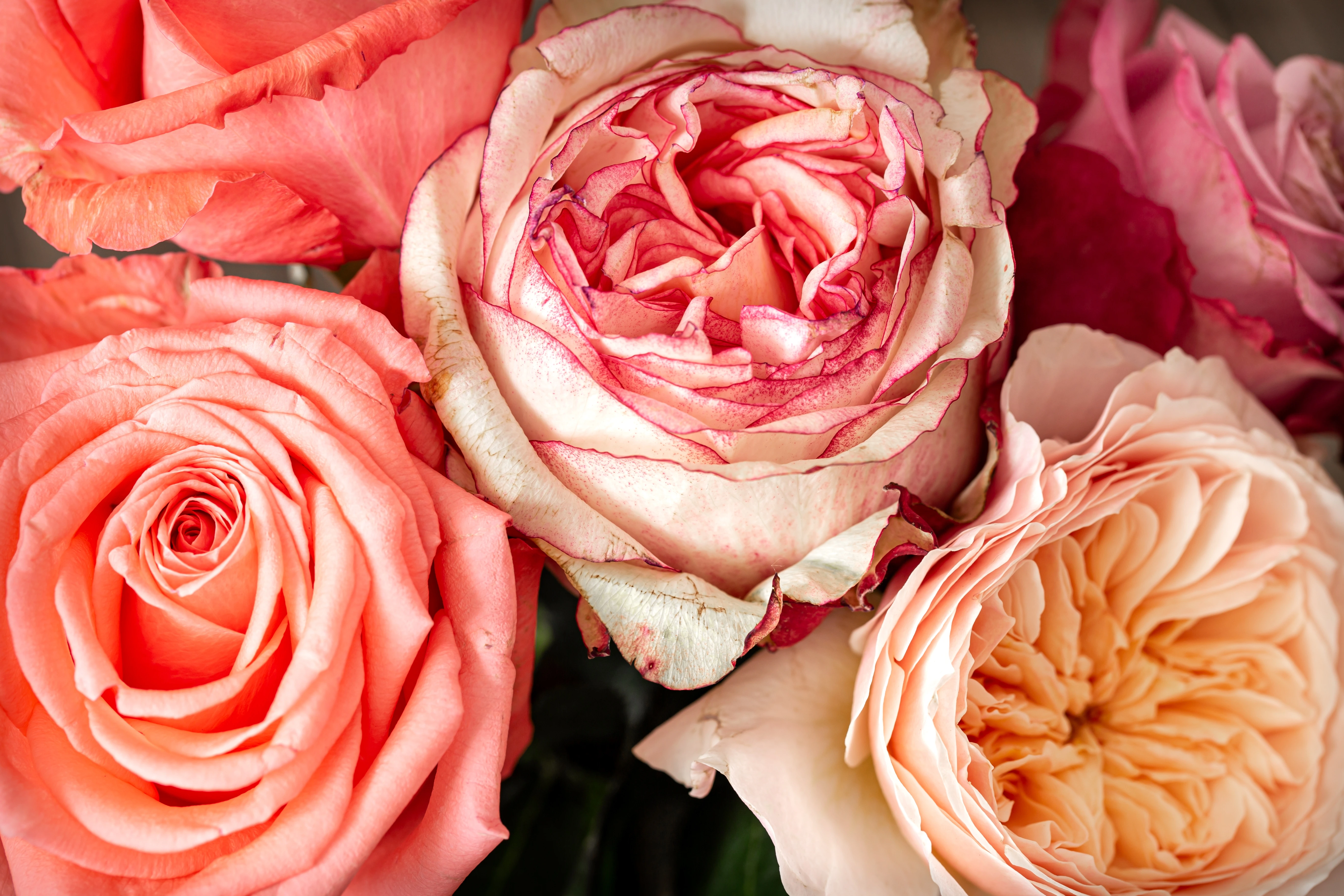 Fresh flowers at Nectar