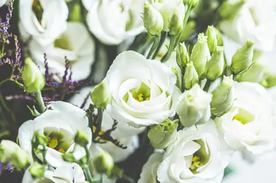 Sympathy and memorial flower arrangements